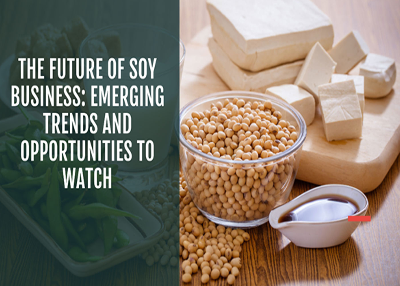 The Future Of Soy Business: Emerging Trends And Opportunities To Watch